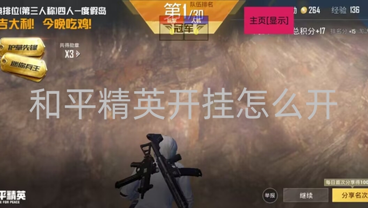 和平直装【蓝精灵】辅助